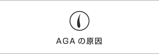 AGAの原因